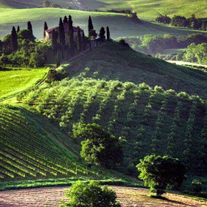 Tuscany Landscape